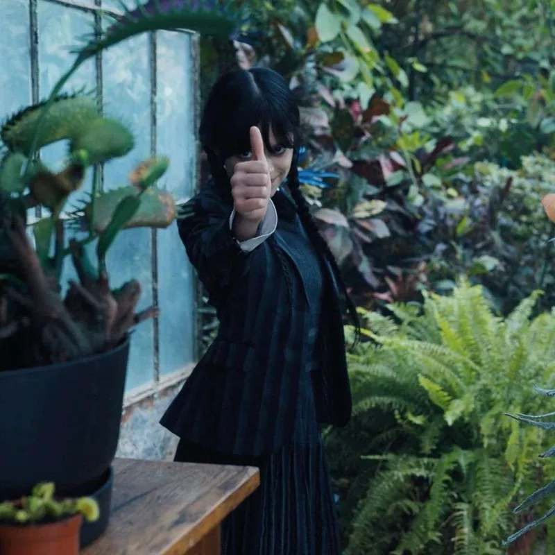 “Wednesday”in 2-ci sezonu çəkiləcək