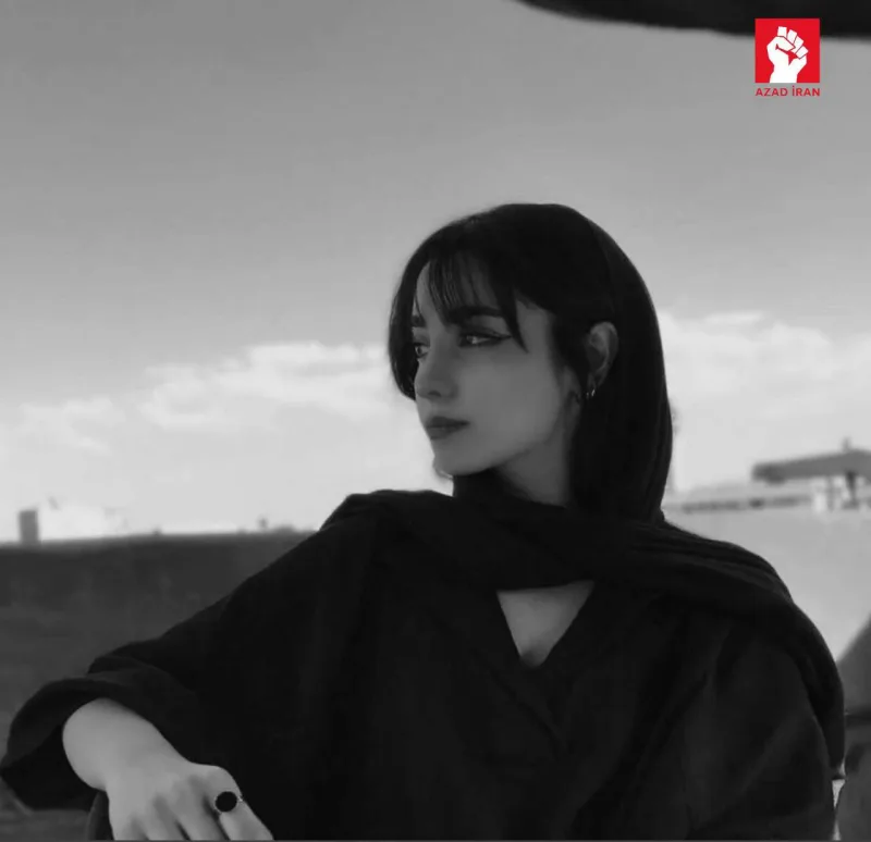 Azərbaycanlı rəssam İranda həbs edildi