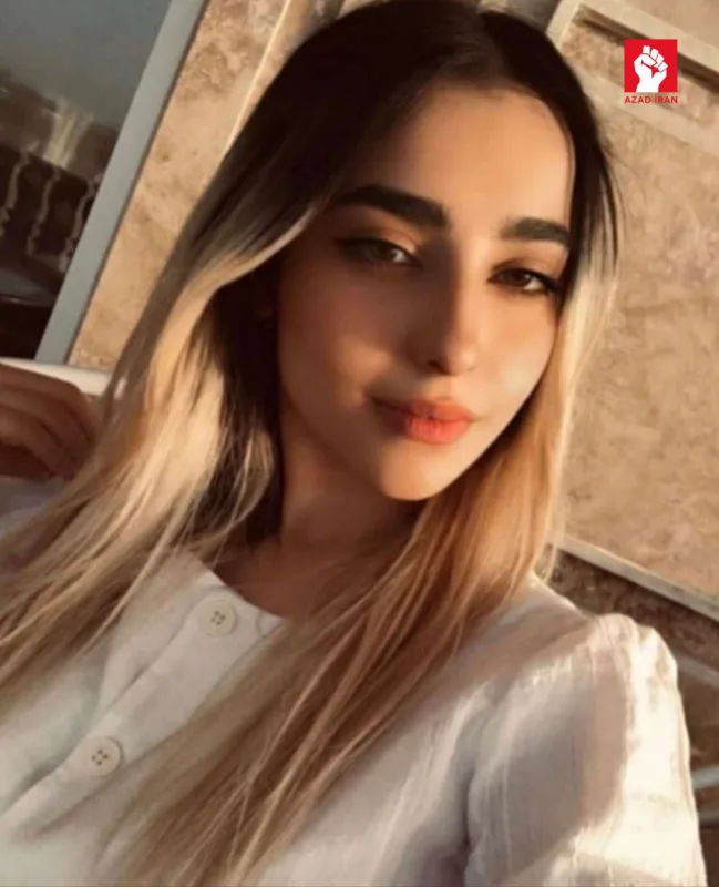 Azərbaycanlı rəssam İranda həbs edildi