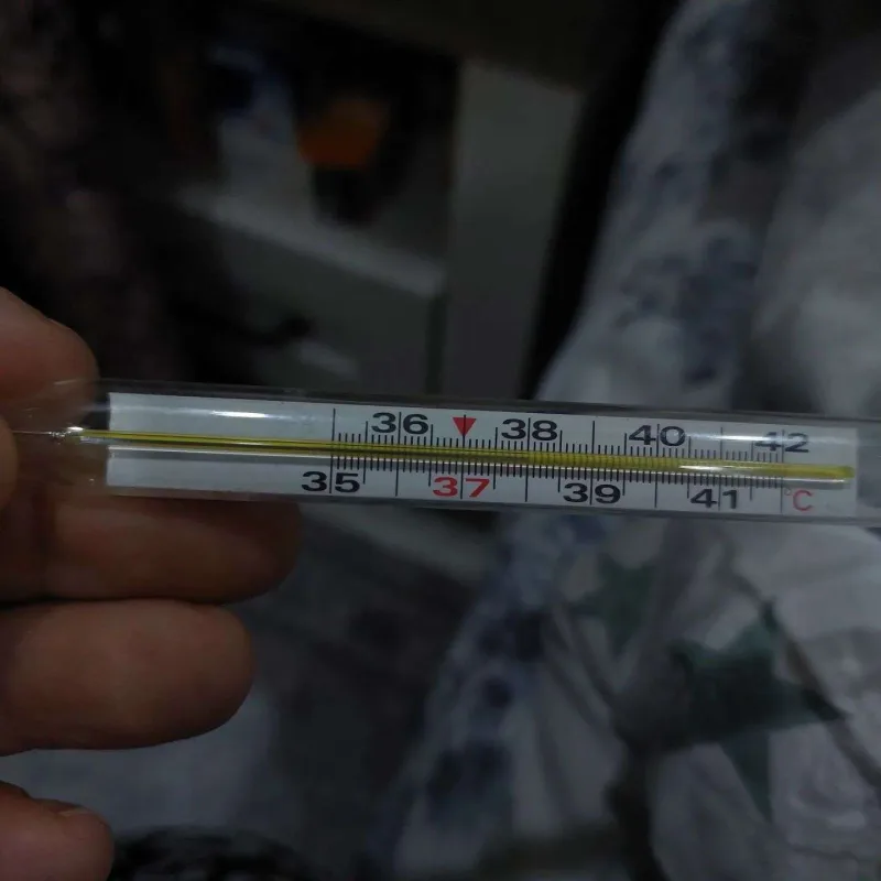 Aytən virusa yoluxdu