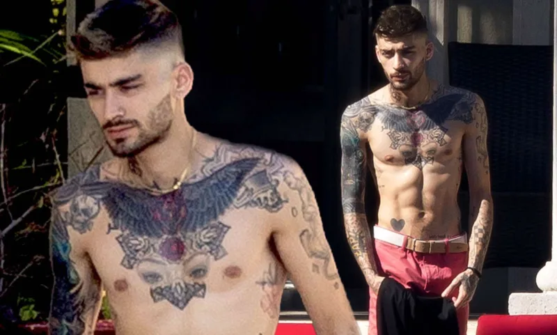 Zeyn Cicinin izlərini itirir