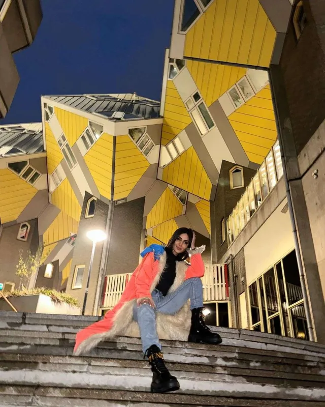 Pərvindən Niderland pozası