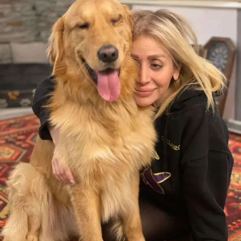 “Bu binaları tikənə insan demək olar?”