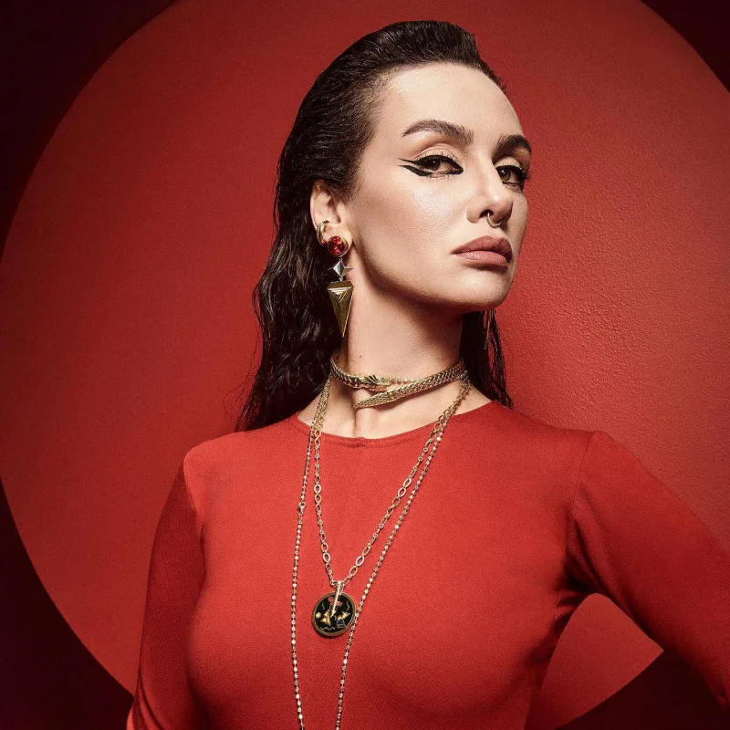 Bircenin tvitterdəki “mavi quş”u yoxa çıxdı