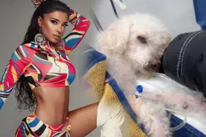 Səmranın sevimli iti öldü