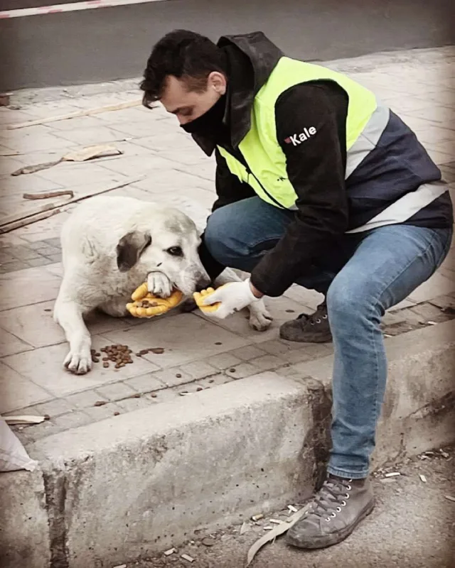 Zəlzələdə zərər görən heyvanlar üçün ferma yaratdı