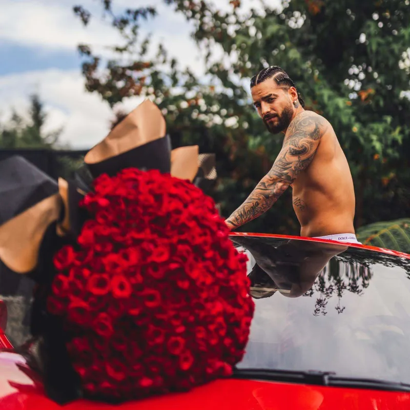 “Balam, sənin Don Juanın gəldi...”