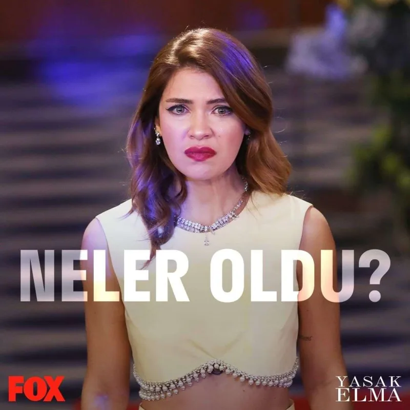 Bu serialların yayımı dayandırıldı