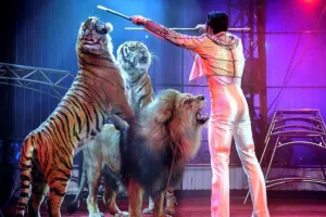 Bakı Dövlət Sirkində qorxulu anlar - Video