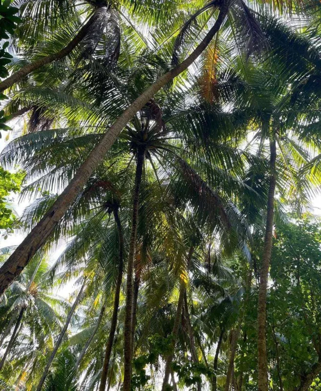 Gülay qızı ilə Maldiv adalarında