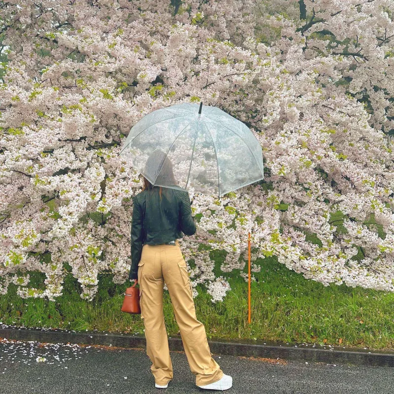 Ülviyyə Mahmudova Yaponiyada