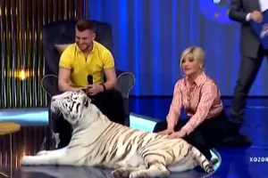 “Xəzər”in canlı efirinə pələng gətirildi