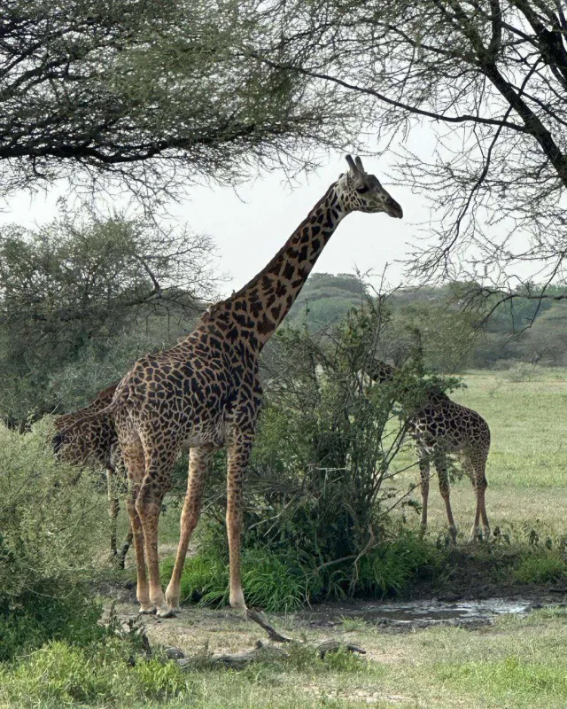 Günay oğlu ilə tətildə