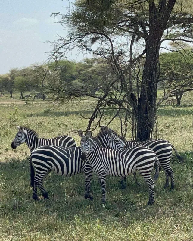 Günay oğlu ilə tətildə