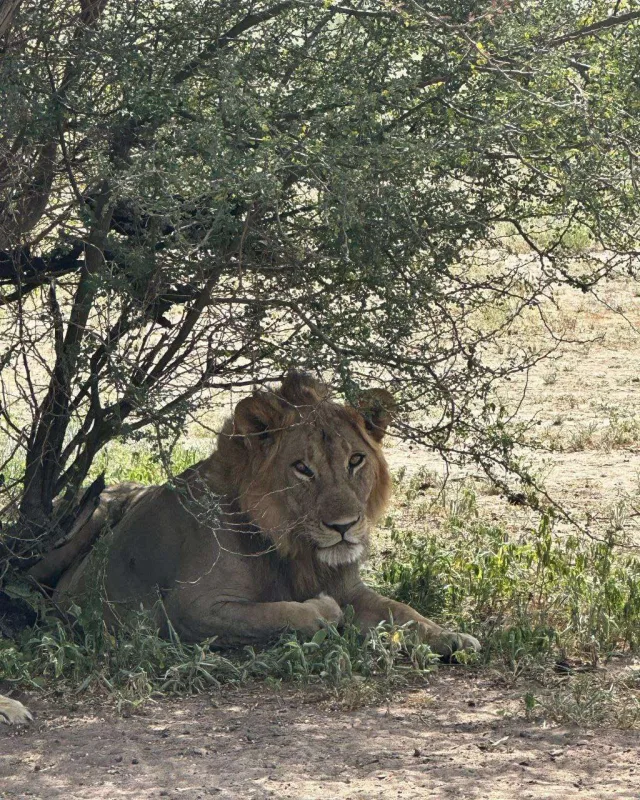 Günay oğlu ilə tətildə