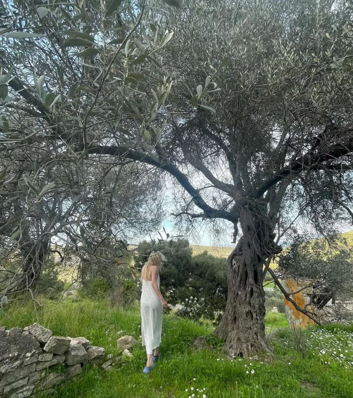 Aleynanın fotosu müzakirə yaratdı