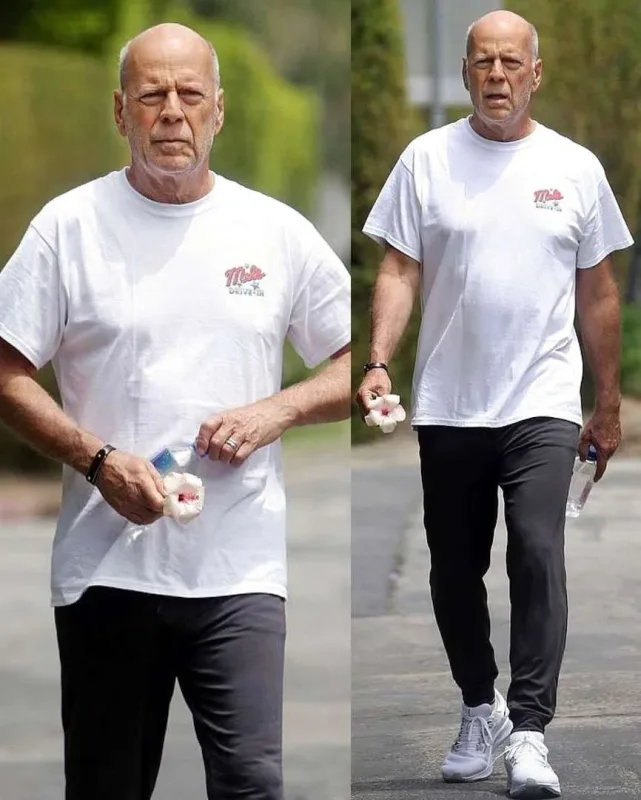 Brüs Uillis karyerasını sonlandırdı