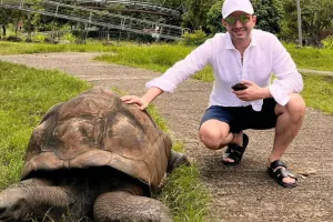 Xəyyamın Afrika istirahəti