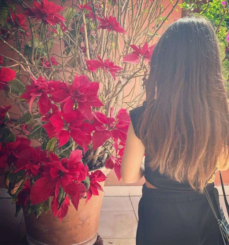 Ülviyyə Mahmudova İspaniyada