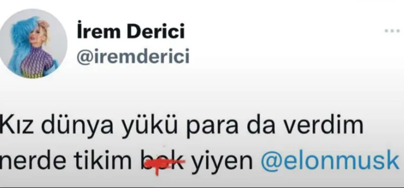 Təsdiq butonu silinən İrem İlonu təhqir etdi