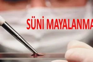 Kanallarımıza süni mayalanma reklamı ilə bağlı xəbərdarlıq