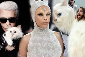 Karlın pişiyi obrazında idilər...