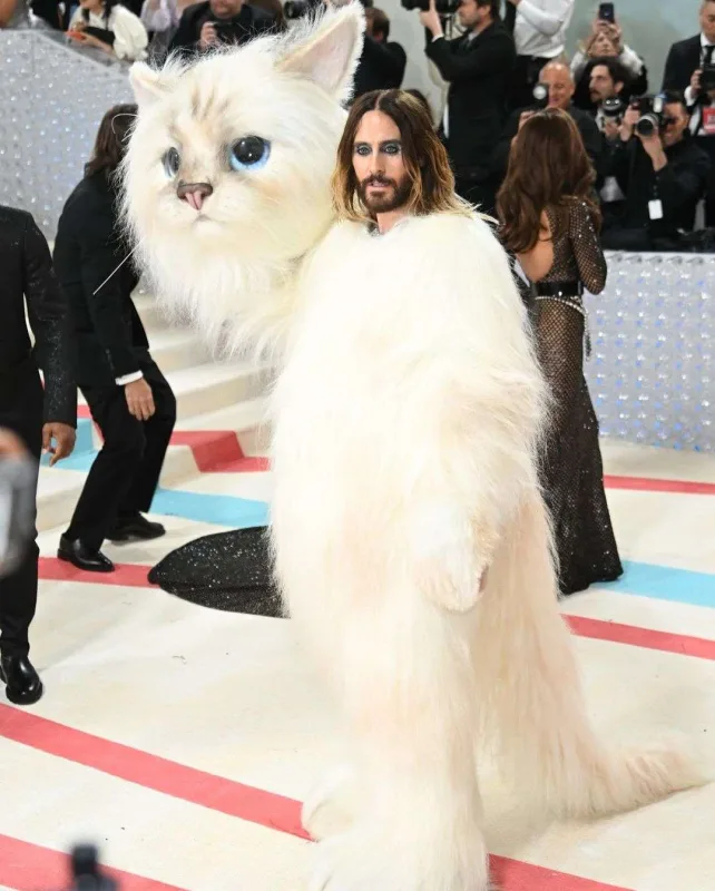 Karlın pişiyi obrazında idilər...