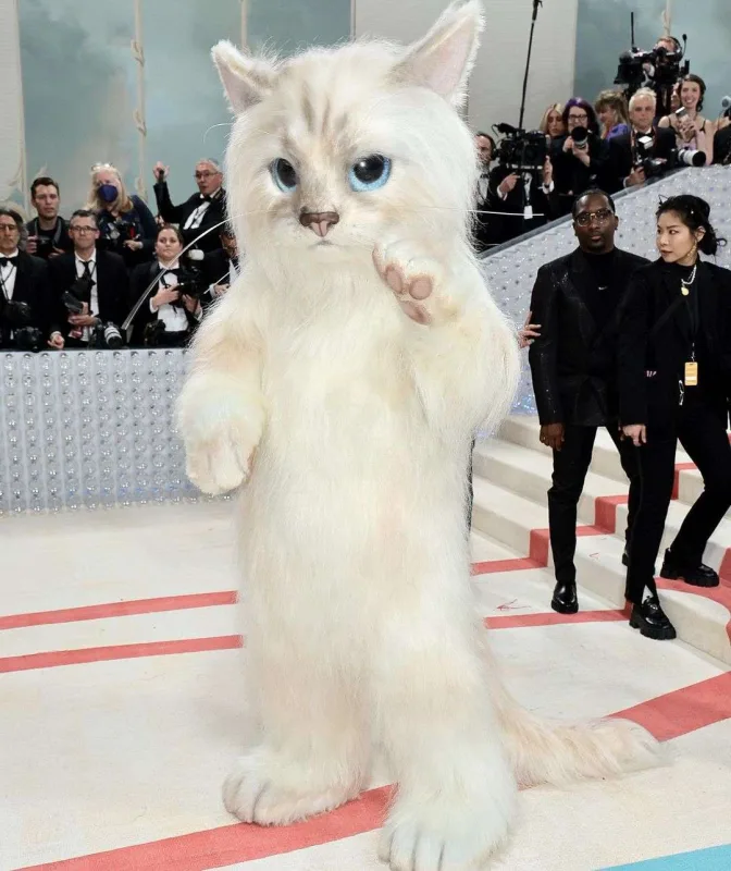 Karlın pişiyi obrazında idilər...