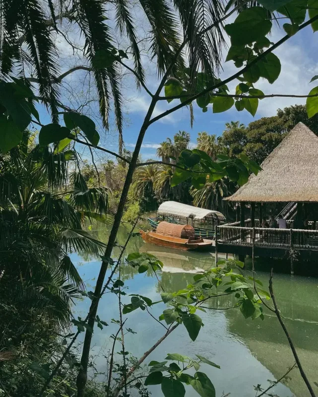 Turanənin İspaniya tətili