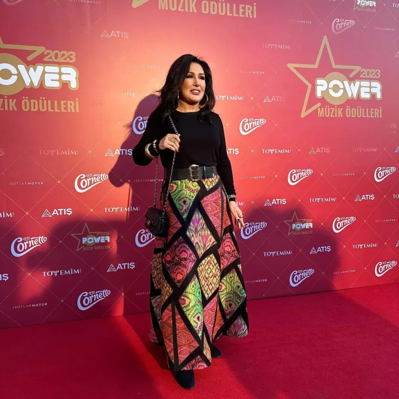 Türk məşhurları birləşdirən gecə