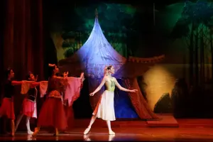 Teatrların regionlara qastrol səfərləri davam edir