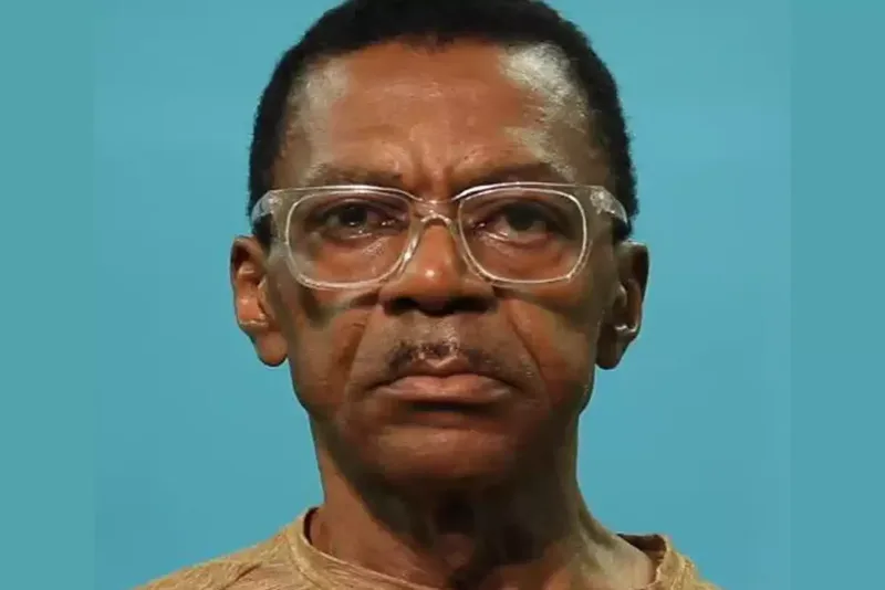 Tina Törnerin oğlu həbs edildi