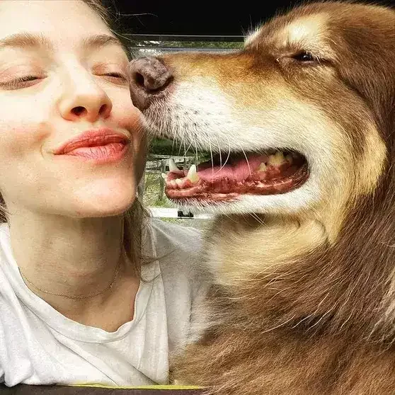 Fermada ailəsi və 34 heyvanı ilə yaşayır