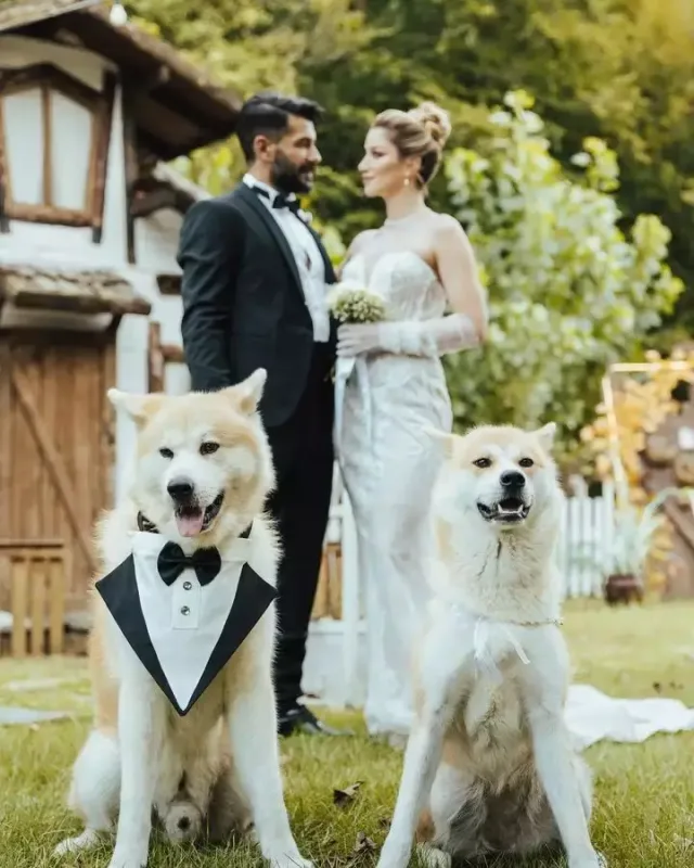 Məşhur aktyorun toyundan görüntülər