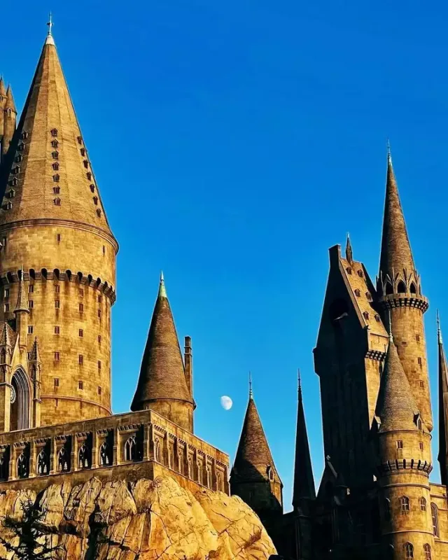 Van Dammın oğlu azərbaycanlı xanımının bu arzusunu reallaşdırdı