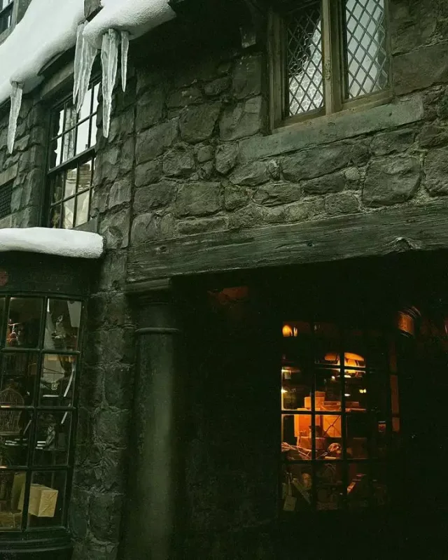 Van Dammın oğlu azərbaycanlı xanımının bu arzusunu reallaşdırdı