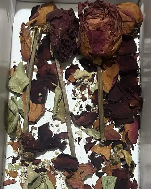 Həyat yoldaşı "Toppuş bacı"dan yazdı