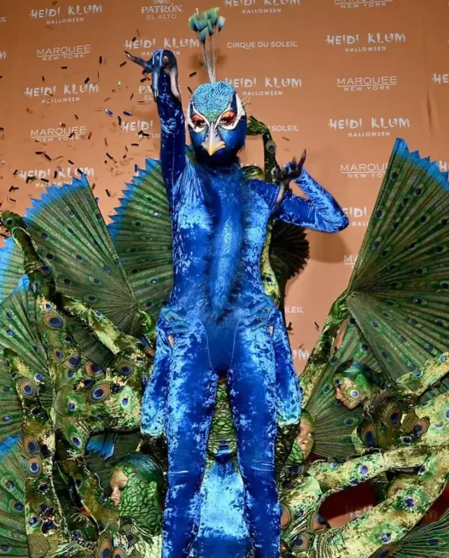 Özü tovuzquşu, həyat yoldaşı isə yumurta oldu