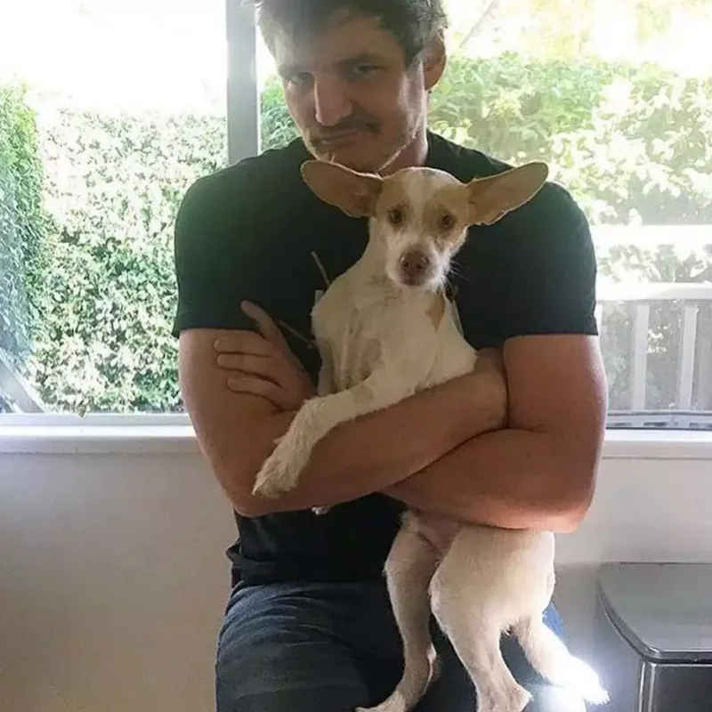 İlin ən seksual kişiləri onlardır