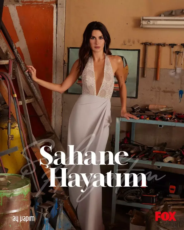 Nəsrin yeni layihədə