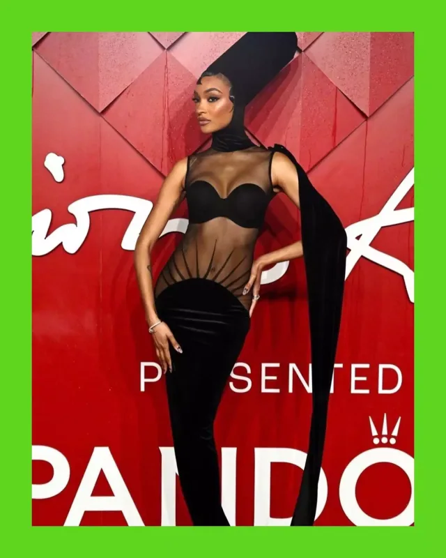 “Fashion Awards”dan maraqlı görüntülər