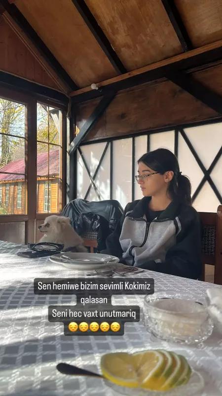 “Sənin yanında ola bilmədim”