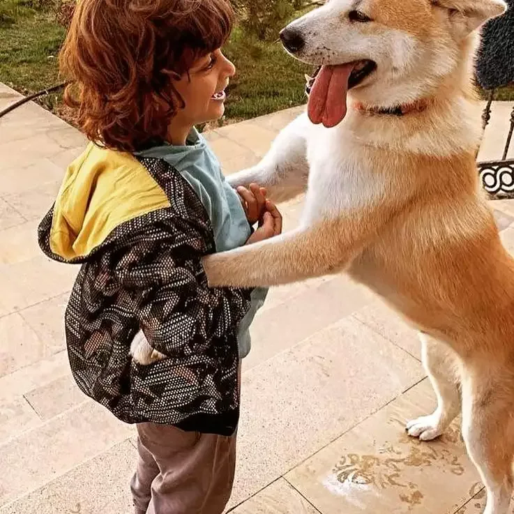 Xoşqədəm Hidayətqızı itlərini axtarır