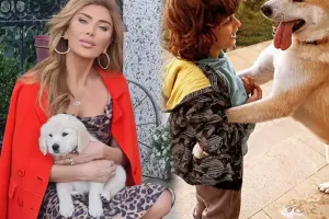 Xoşqədəmin itləri tapıldı