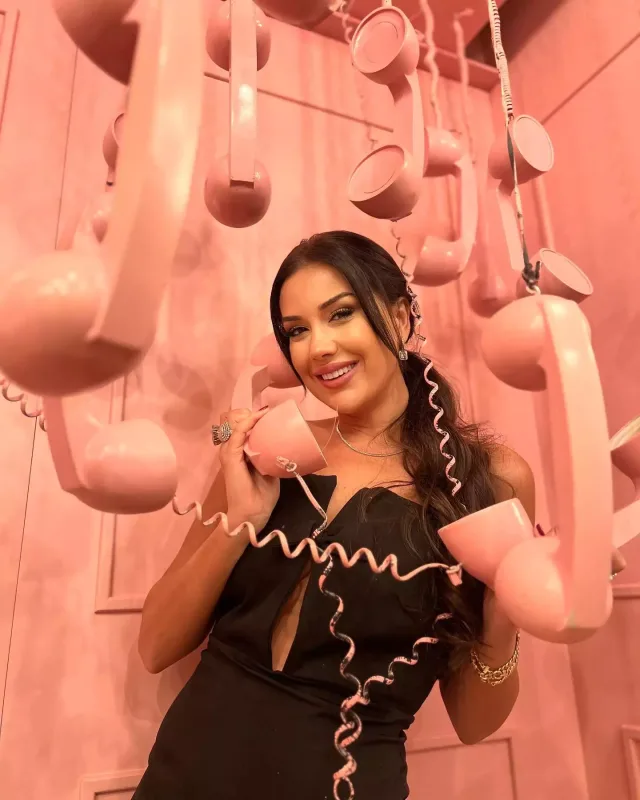 Türk blogerlərin mülkləri satılacaq!