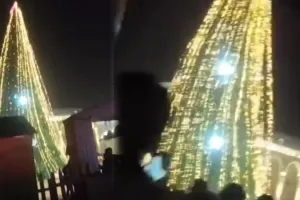 Gəncədə Yeni il üçün bəzədilən Şam ağacı aşdı