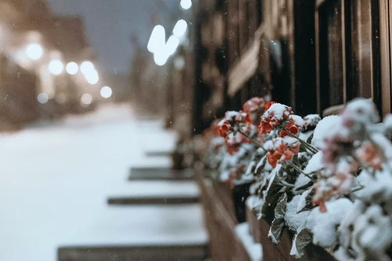 Qara bürünən Bakı küçələri...