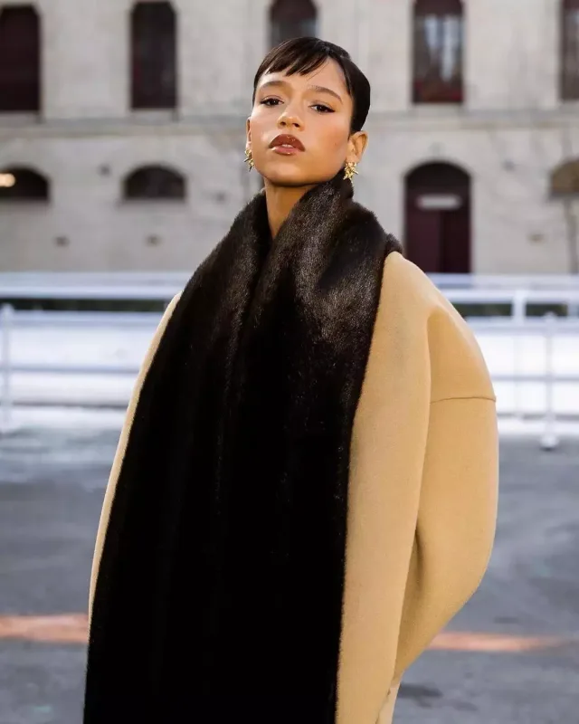 Dəfilə izləməyə belə getdilər