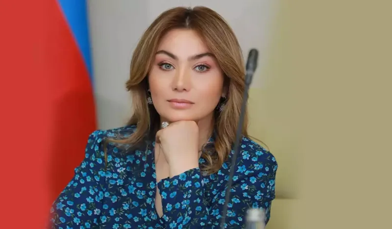 “Şagird nədir, cibində bıçaq gəzdirmək nədir?”