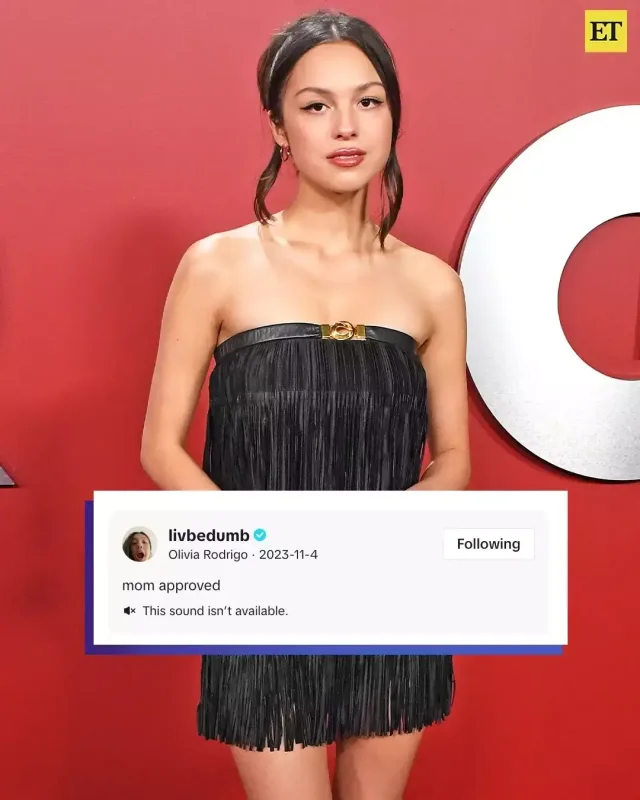 Onların mahnıları TikTok-dan silindi